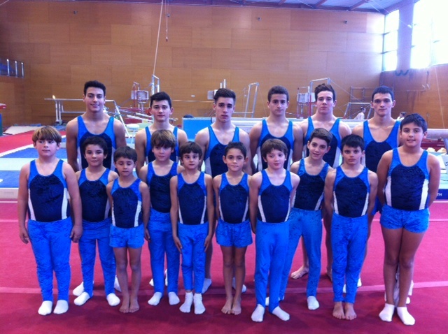 DiadaGAM156